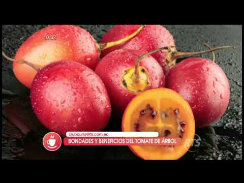 Beneficios del tomate arbol: Propiedades y usos