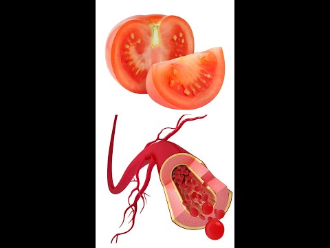 Descubre los tomates de árbol: tipos y beneficios