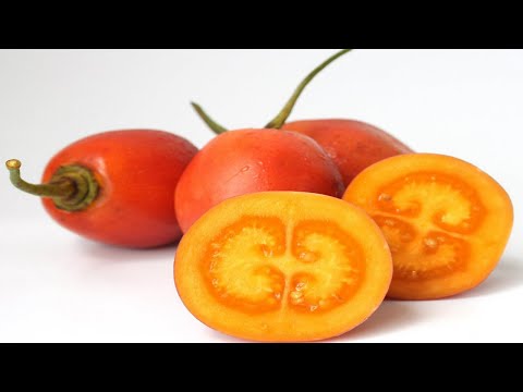 Tomate de árbol fruta: beneficios y usos