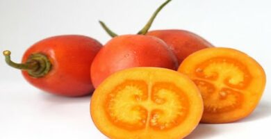 El tomate de árbol en Colombia: descubre su origen y propiedades