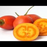 Características del tomate de árbol: todo lo que debes saber