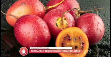 Tomate de árbol: La deliciosa fruta colombiana que debes probar